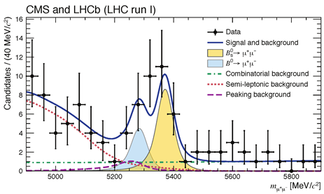 B-meson decay observed